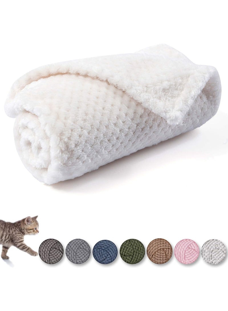 Dog Blanket or Cat Blanket or Pet Blanket, Warm Soft Fuzzy Blankets for Puppy, Small, Medium, Large Dogs or Kitten, Cats, Plush Fleece Throws for Bed, Couch, Sofa, Travel (M/32" x 40", Ivory) - Image 1